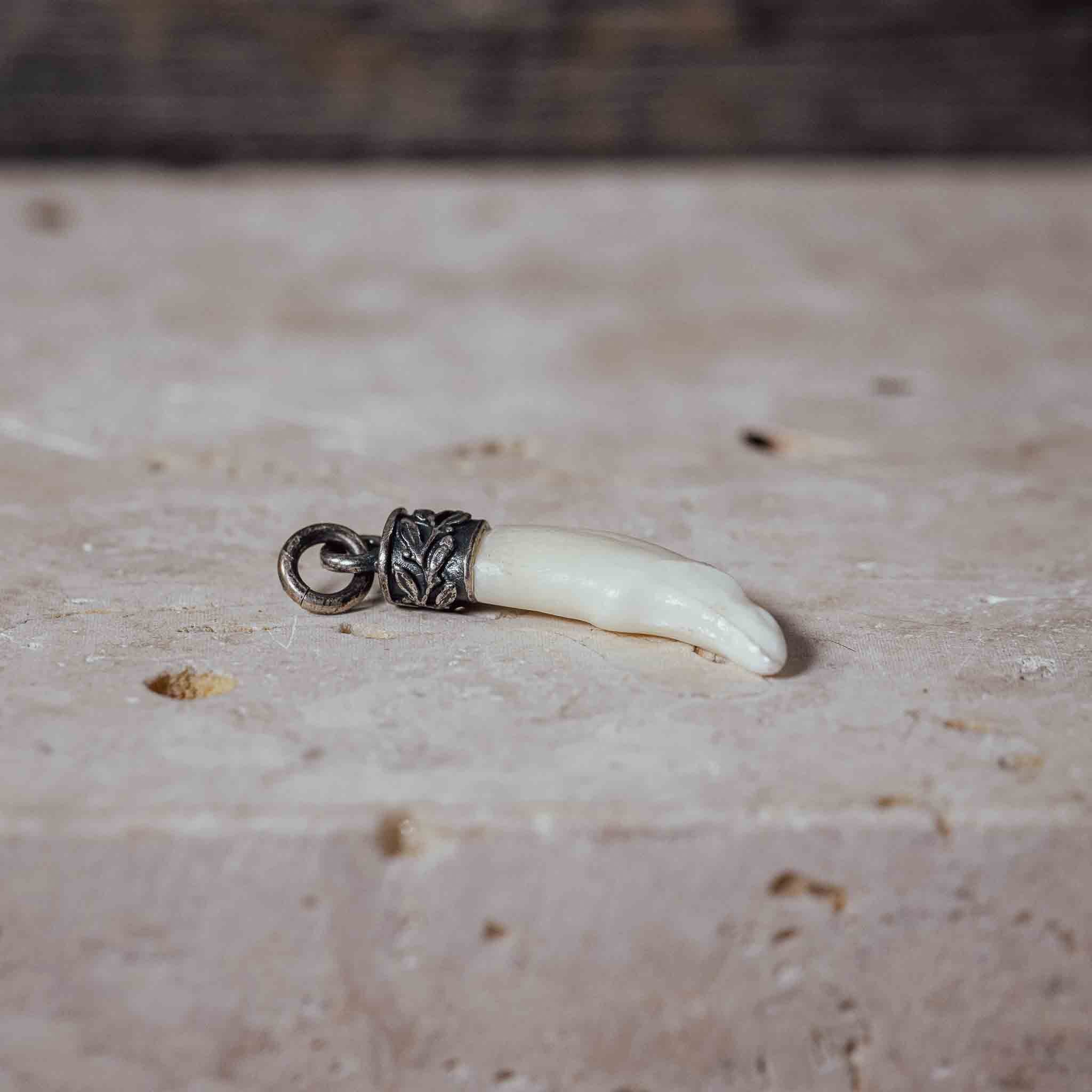 "Fuchs Zahn" in Silberfassung