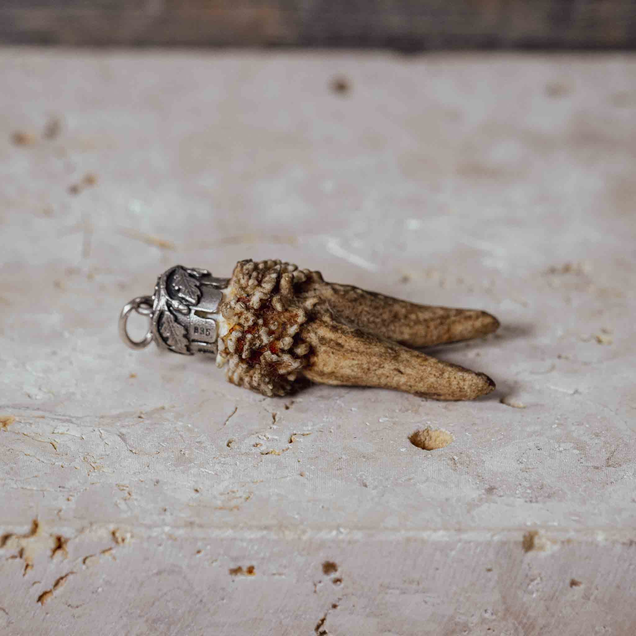 "Hirschgeweih Kümmerer" an Silberfassung