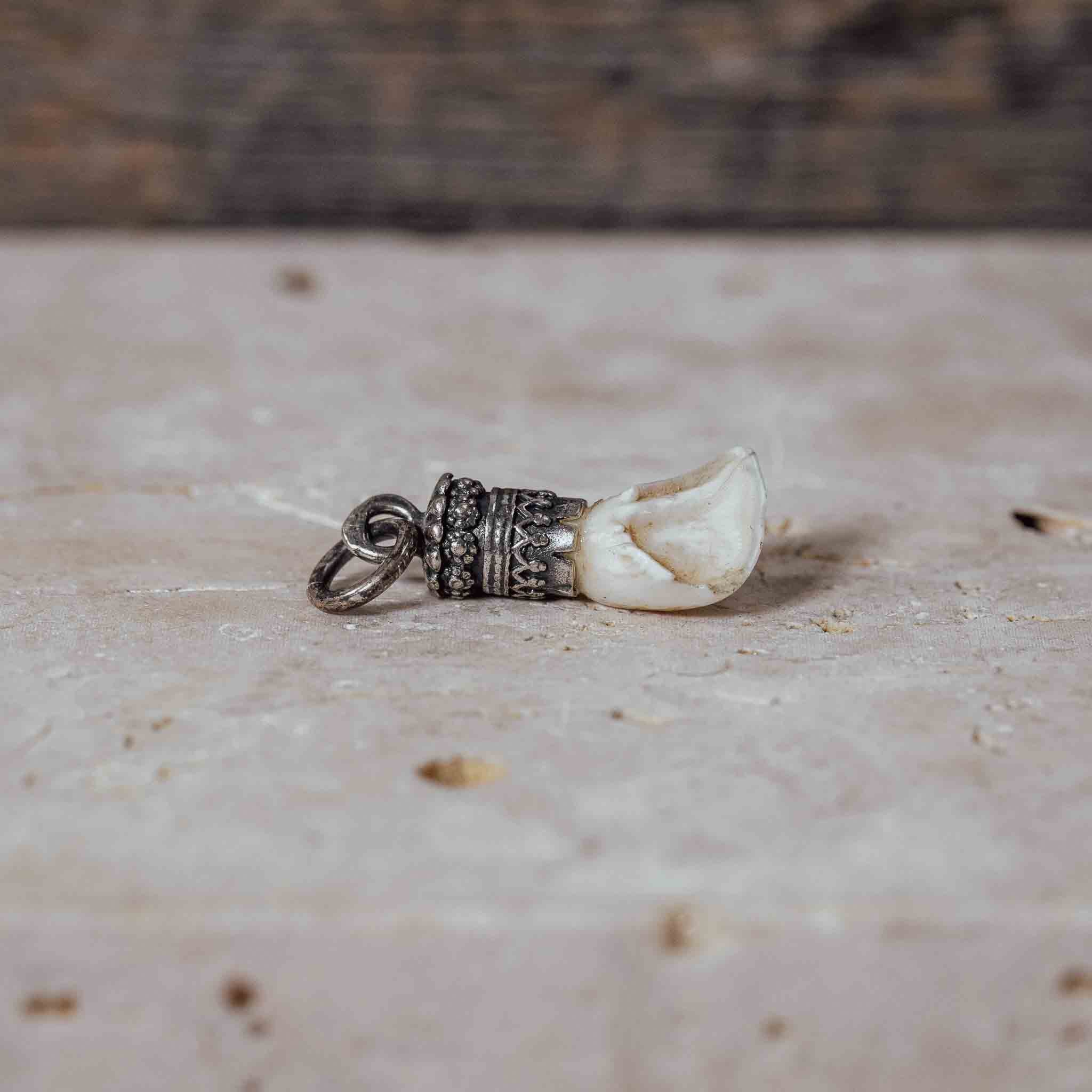 "Reh Eckzahn" in Silberfassung