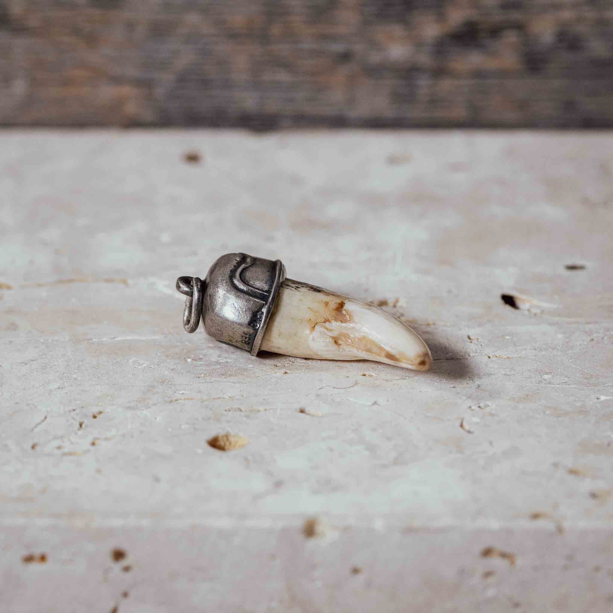 "Wildschwein Zahn" in Silberfassung