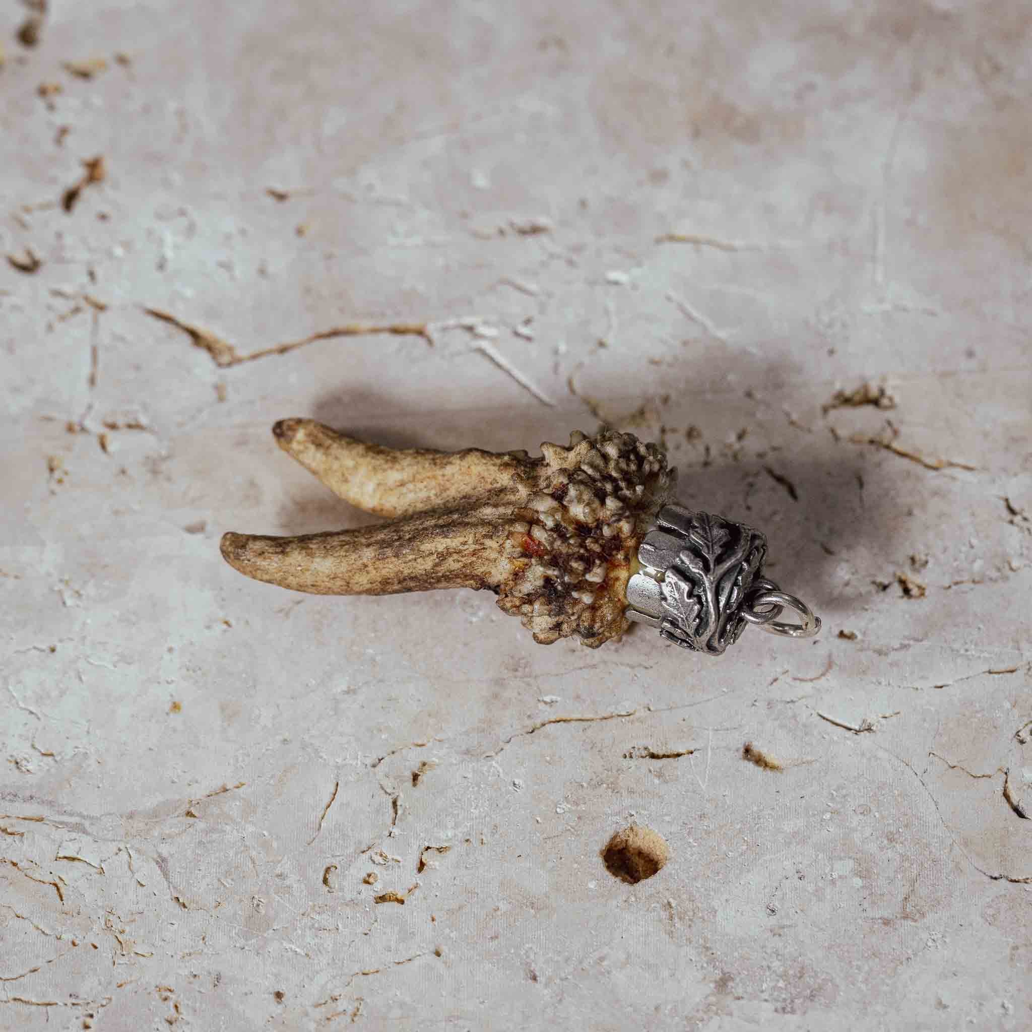 "Hirschgeweih Kümmerer" an Silberfassung