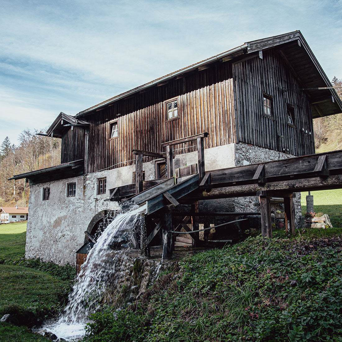 Halskette "Mühlsteintaler" an Lederband