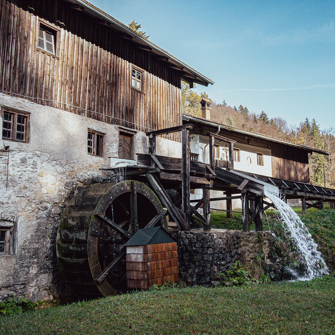 Halskette "Mühlsteintaler" an Lederband