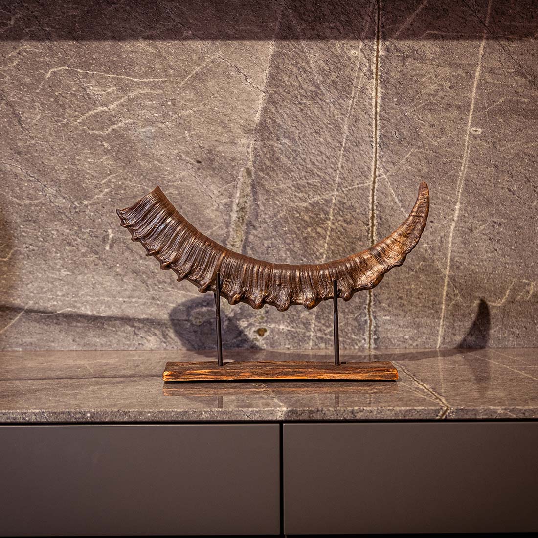 Steinbock-Horn "König der Alpen" dunkles Schwert