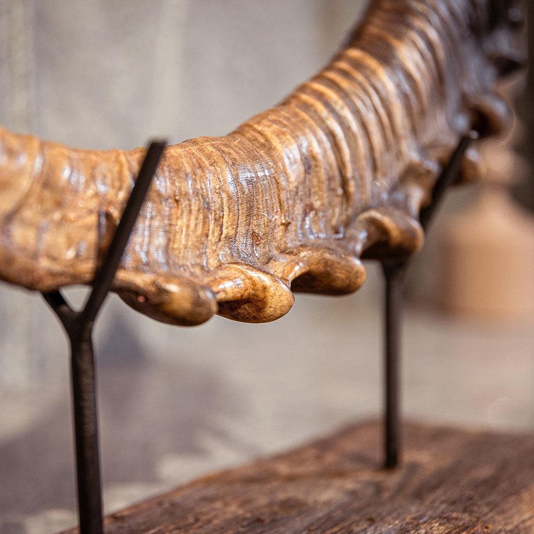 Steinbock-Horn "König der Alpen" helles Schwert links