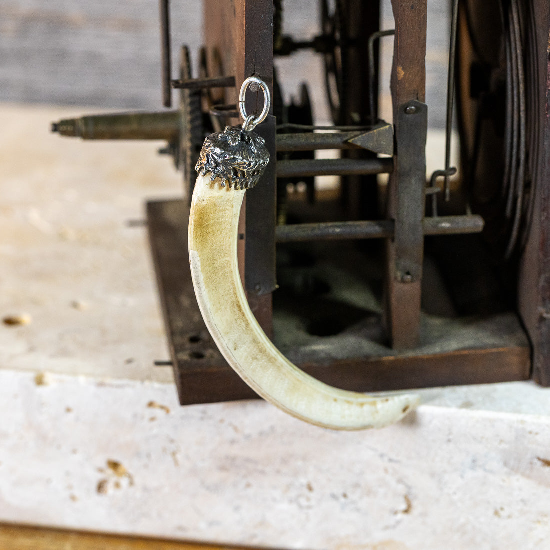 Anhänger "Wildsau-Zahn" - Einzelstück