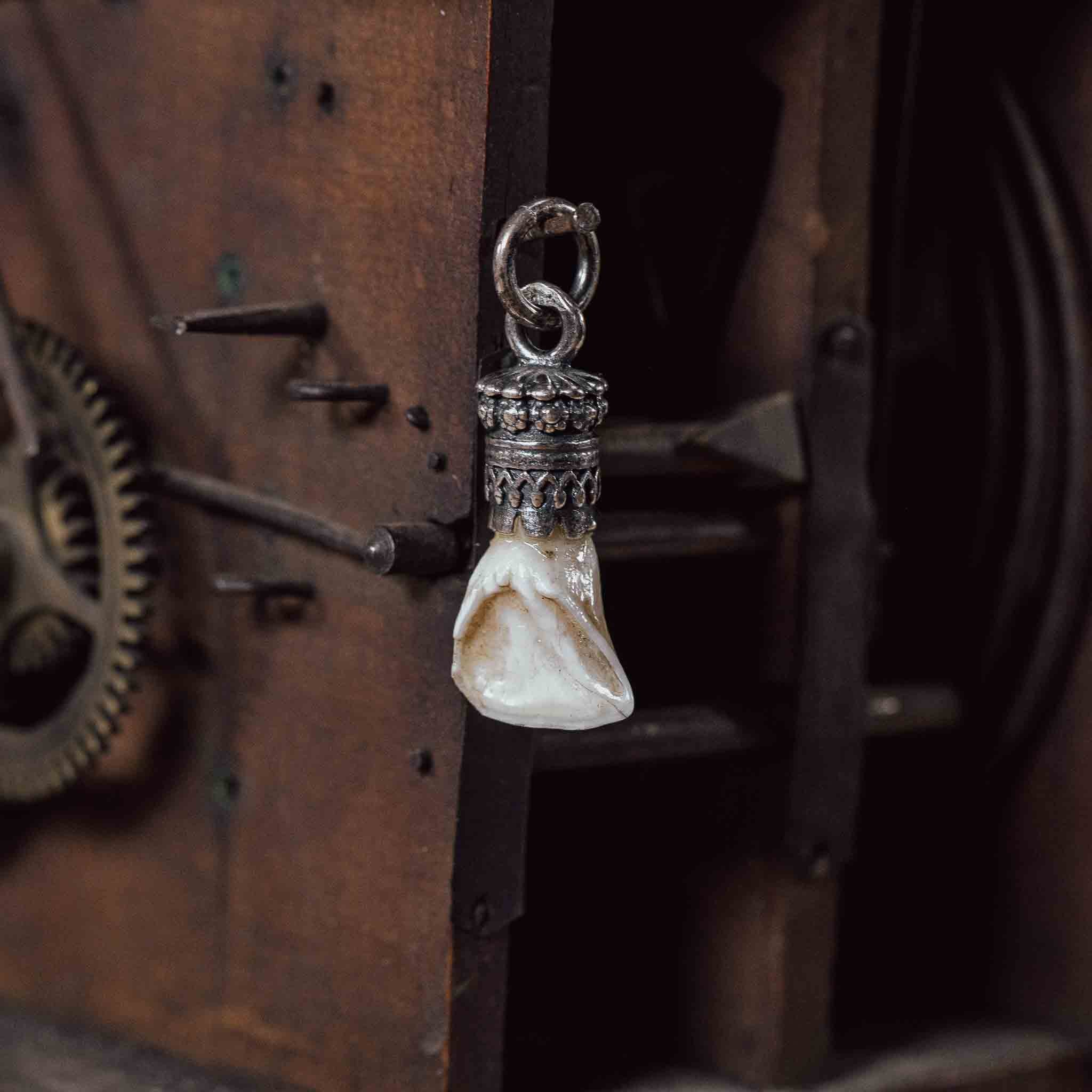 "Reh Eckzahn" in Silberfassung