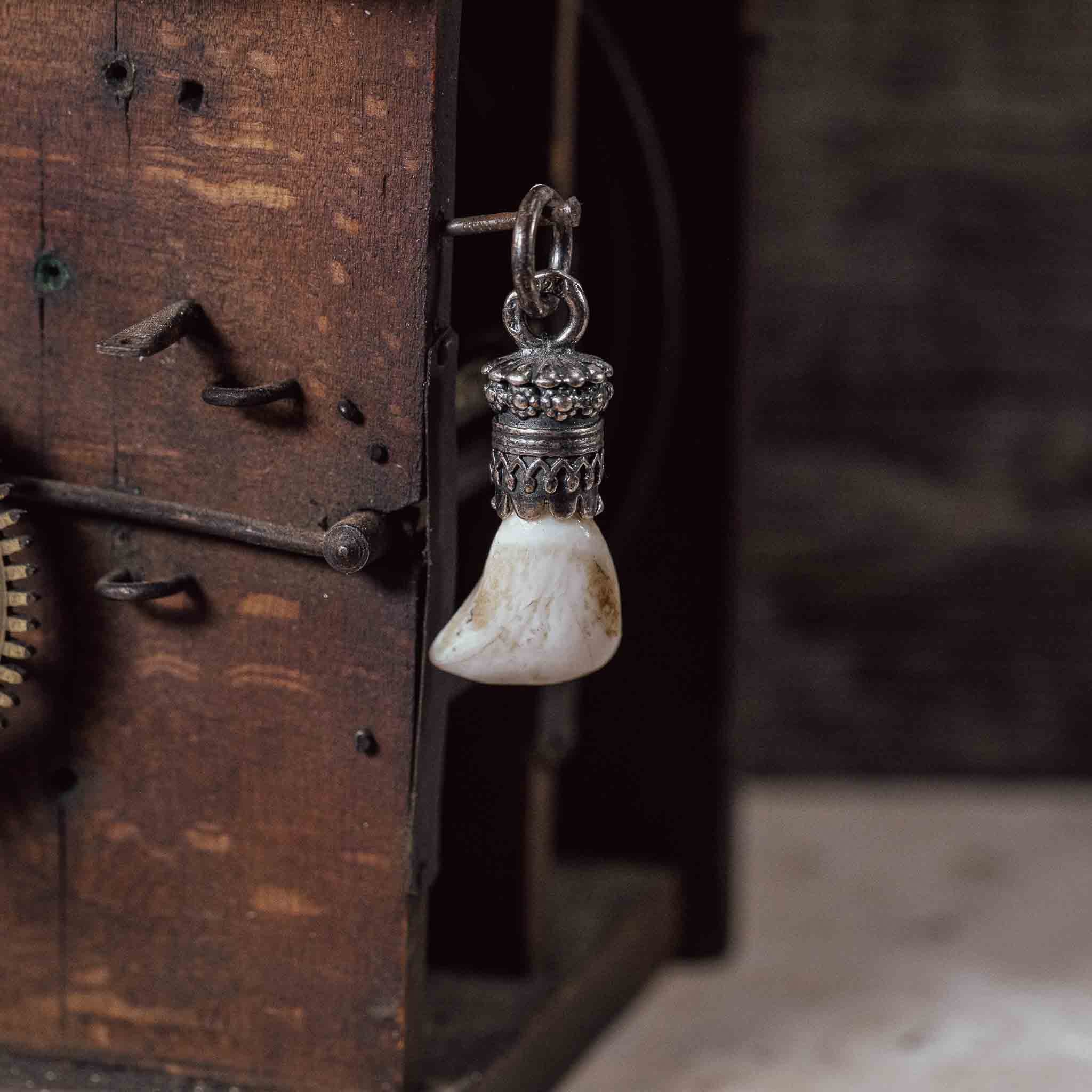 "Reh Eckzahn" in Silberfassung