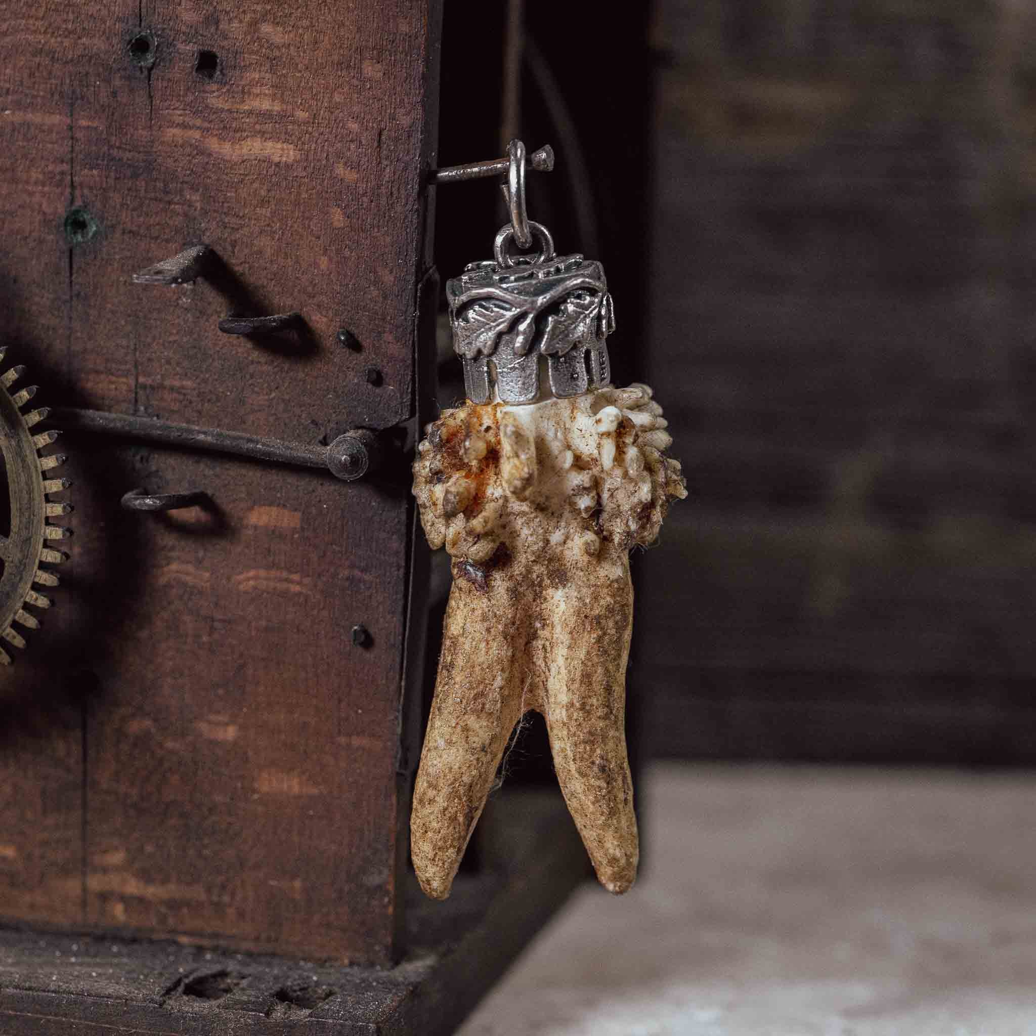 "Hirschgeweih Kümmerer" an Silberfassung