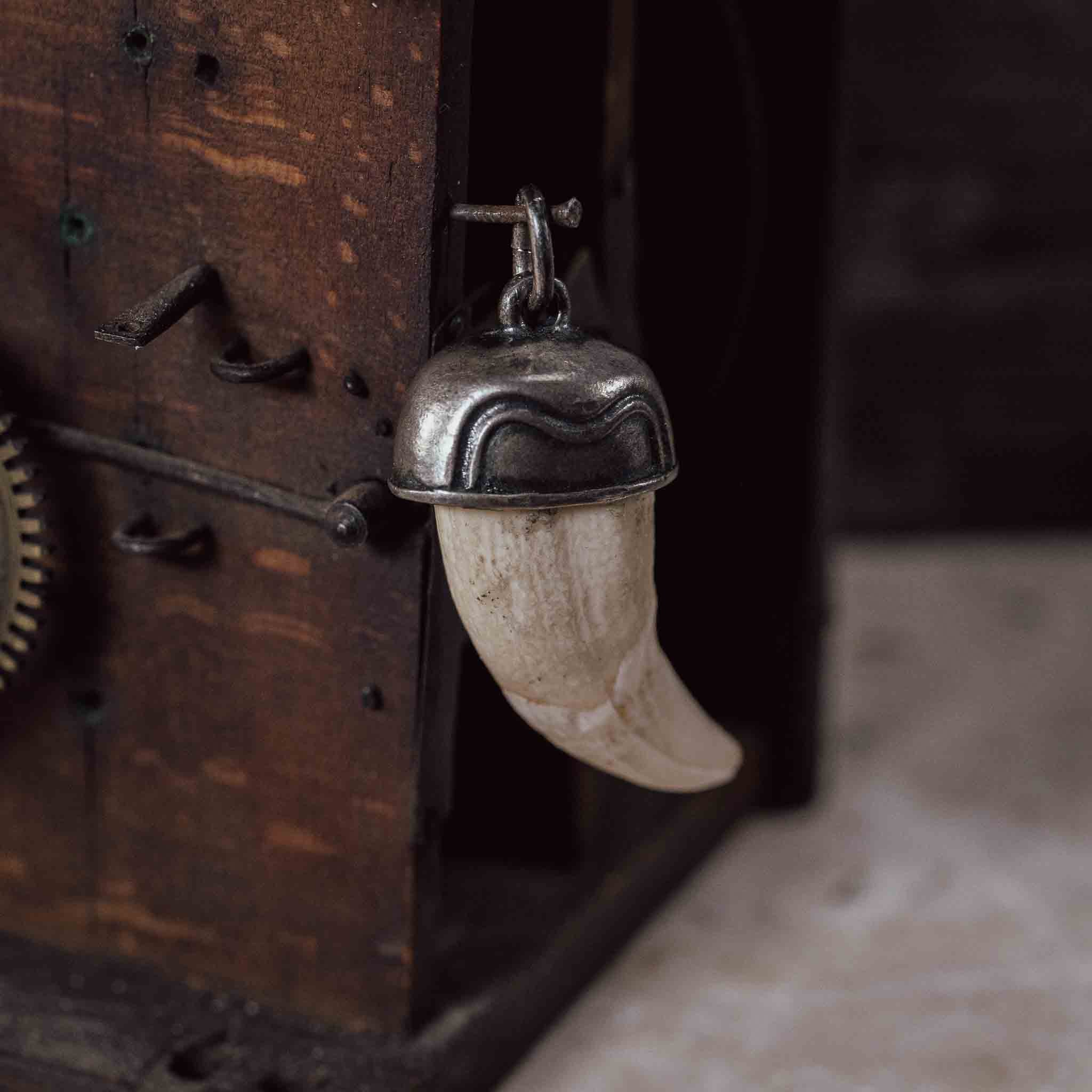 "Wildschwein Zahn" in Silberfassung