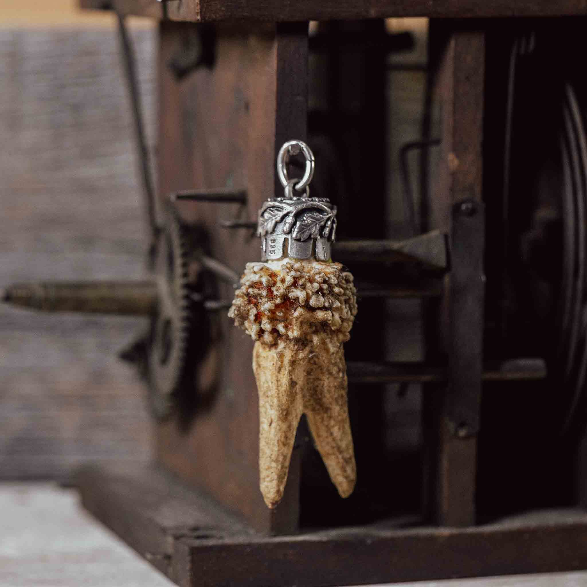 "Hirschgeweih Kümmerer" an Silberfassung