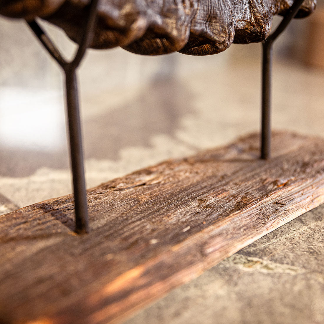 Steinbock-Horn "König der Alpen" dunkles Schwert