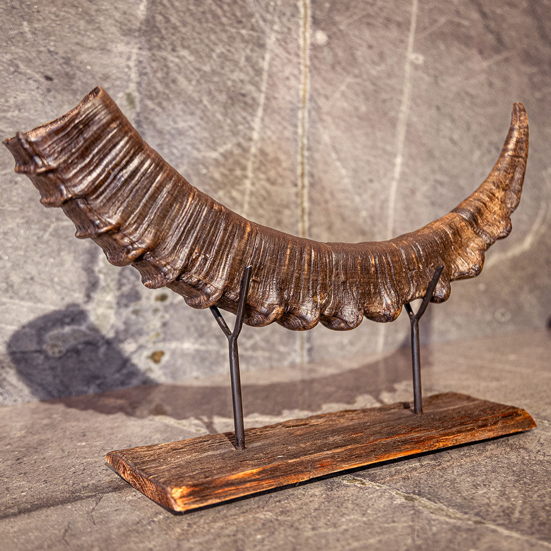 Steinbock-Horn "König der Alpen" dunkles Schwert