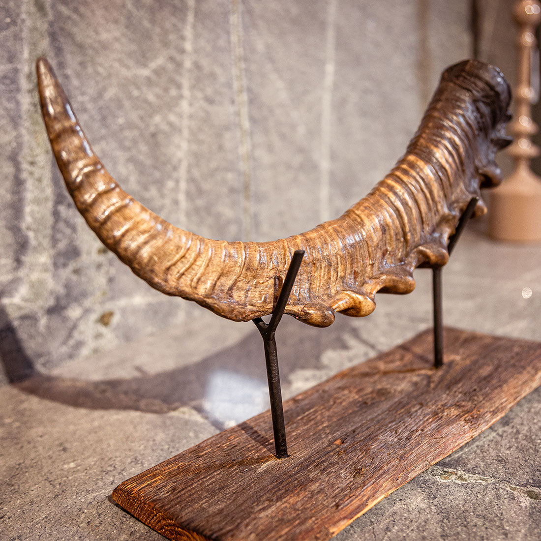 Steinbock-Horn "König der Alpen" helles Schwert links