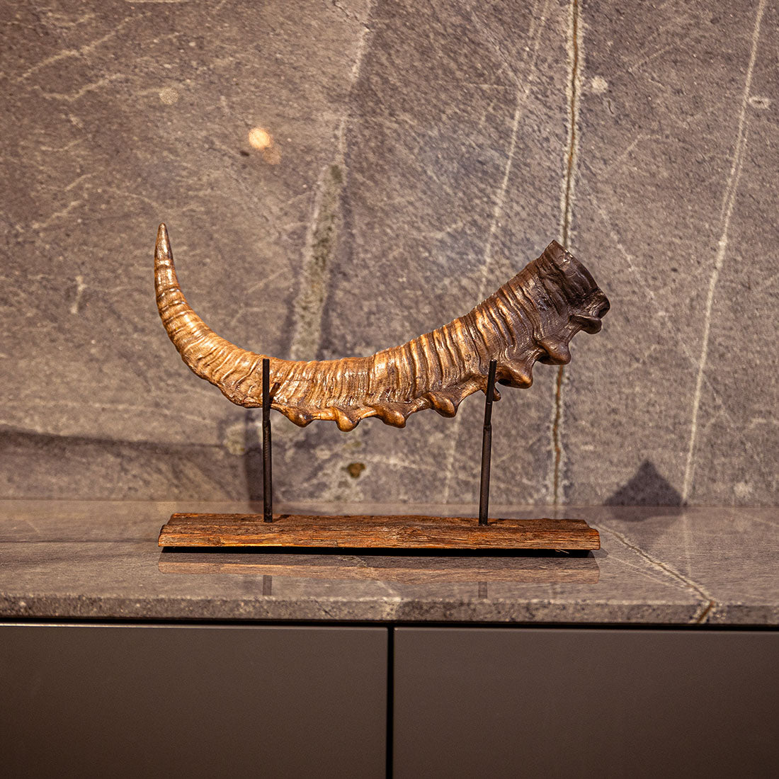 Steinbock-Horn "König der Alpen" helles Schwert links