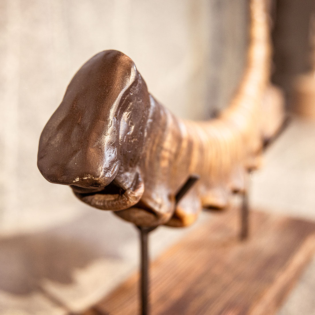 Steinbock-Horn "König der Alpen" helles Schwert rechts