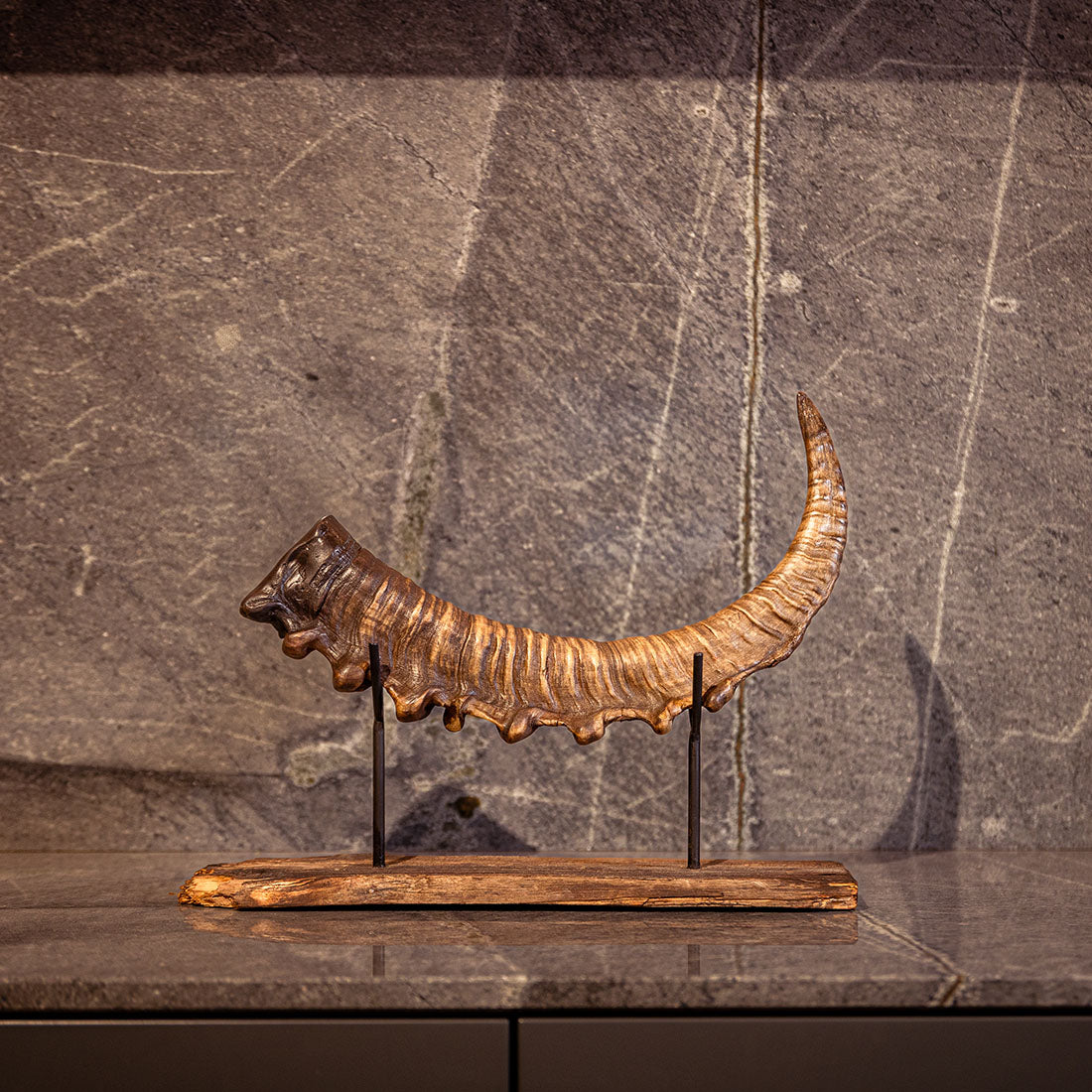 Steinbock-Horn "König der Alpen" helles Schwert rechts